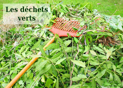 Déchets verts : Ouverture samedi 21 octobre