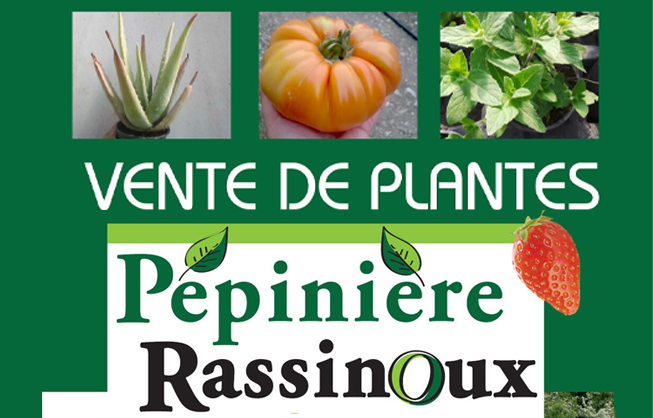 Vente de plants de tomates et légumes, samedi 27 avril