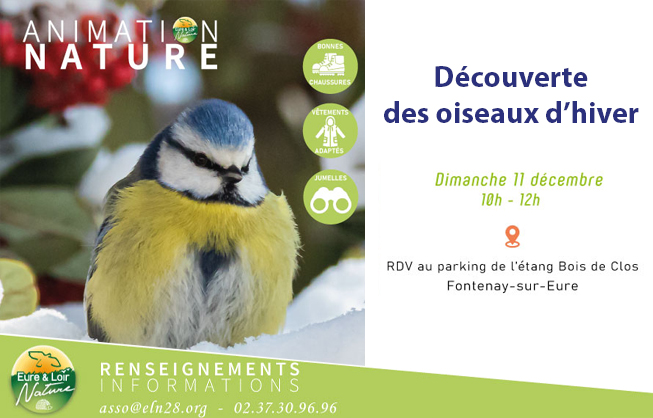 Animation Nature - Découverte des oiseaux en hiver