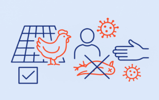 virus influenza aviaire.