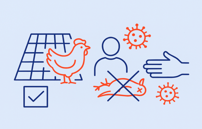 virus influenza aviaire.