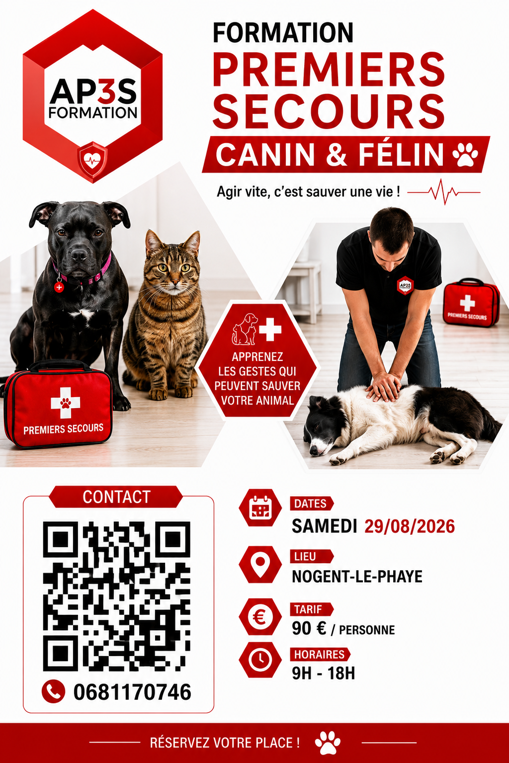 Formation Premiers Secours Canin et Félin : apprenez les gestes qui peuvent sauver votre compagnon
